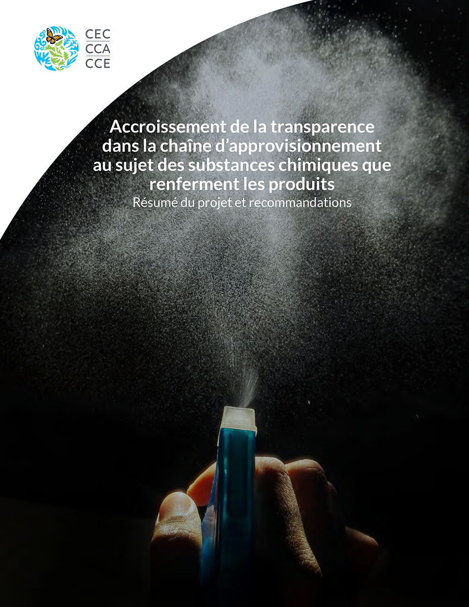 Couverture de la publication