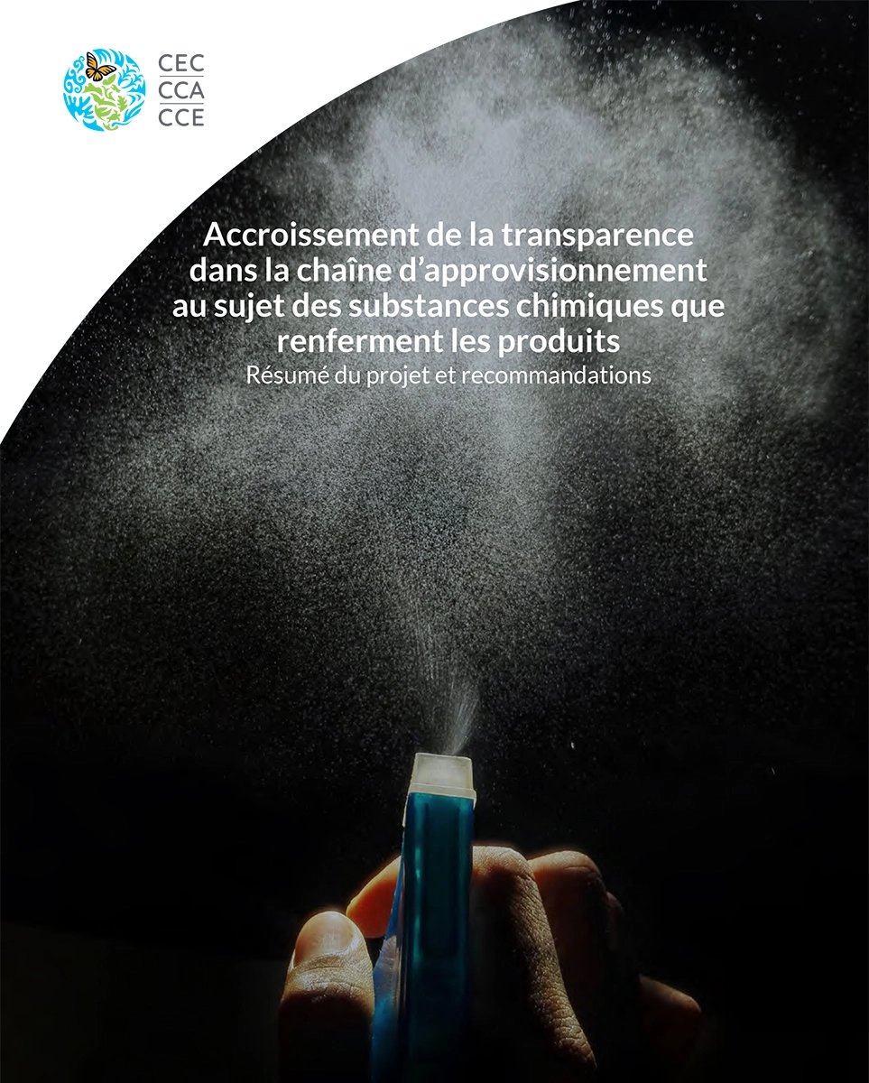 Couverture de la publication