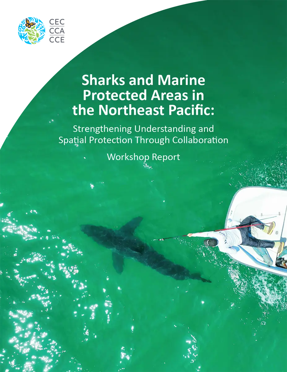 CEC Publication Cover: Sharks and Marine Protected Areas