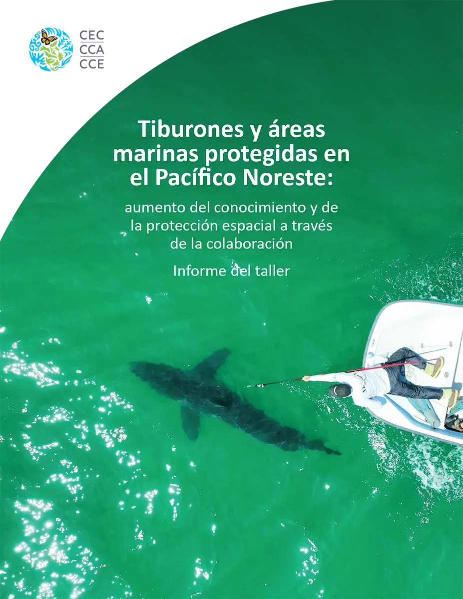 Tiburones y áreas marinas protegidas