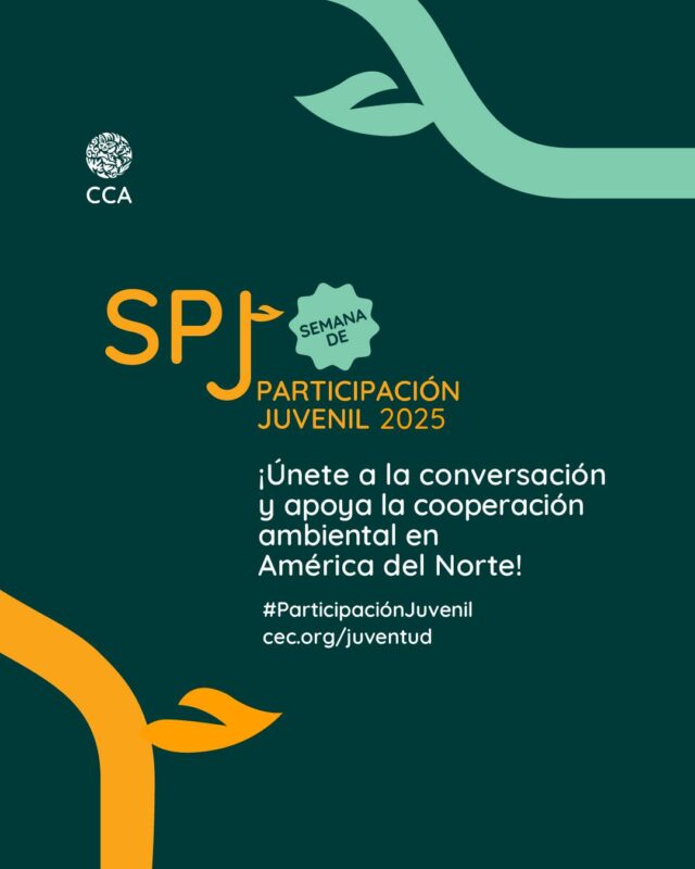 📢📅 ¡Aparta la fecha de la #SemanaDeParticipaciónJuvenil (SPJ) anual de la CCA! Ya abrimos la convocatoria para las personas interesadas en participar como ponentes o en la facilitación de sesiones.

Con el tema “¡La juventud rompe barreras!”, el evento se llevará a cabo en línea en el otoño de 2025, con tres seminarios web. 

🍂 Seminario web 1: Empresas lideradas por jóvenes e iniciativas de emprendimiento e intraemprendimiento 

🍂 Seminario web 2: Juventud y conocimiento ecológico tradicional e indígena
🍂 Seminario web 3: Juventud e involucramiento en pro de la resiliencia en los ámbitos comunitario y subnacional 

🟤 Participa en la facilitación de sesiones en la SPJ 2025 
📌 Fecha límite: martes 30 de septiembre 

🟠 Participa como ponente en la SPJ 2025 
📌 Fecha límite: jueves 16 de octubre 

Si confías en la colaboración intergeneracional y en la función vital de las perspectivas #juveniles en la construcción de un futuro sustentable en América del Norte, ¡esta oportunidad puede ser para ti!

¡No te quedes fuera y únete a la conversación! Para obtener más información, consulta nuestro boletín informativo aquí:
👉Para mayores informes link en bio!