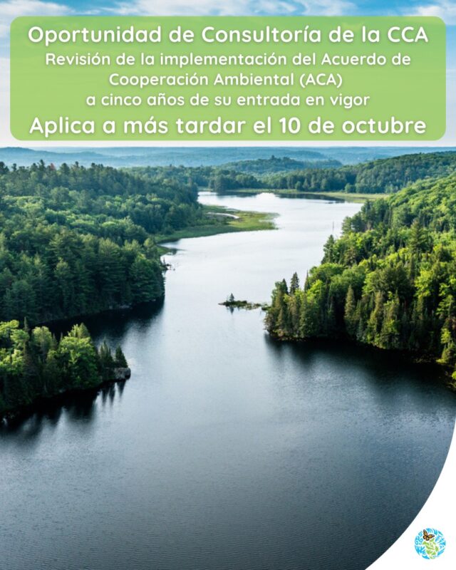 🚀 ¡Excelente oportunidad! Estamos buscando #consultores que nos apoyen en la revisión de la implementación del Acuerdo de Cooperación Ambiental (ACA) a cinco años de su entrada en vigor 🌎🤝

La CCA es una organización creada en 1994 por los gobiernos de Canadá, Estados Unidos y México en virtud del Acuerdo de Cooperación Ambiental de América del Norte (ACAAN), convenio paralelo al TLCAN, que fue sustituido por el ACA el 1 de julio de 2020.

Los objetivos de la revisión son: 
🔵 Formular recomendaciones que sirvan de apoyo al Consejo de la CCA para mejorar el funcionamiento y la efectividad de la Comisión en la consecución de los objetivos del ACA. 

🔵 Identificarán mejores prácticas y logros en relación con la aplicación efectiva de la legislación ambiental en los tres países, al igual que deficiencias y vacíos en materia de implementación, y los desafíos que aún persisten al respecto. 

🔵 Evaluar la capacidad institucional de la CCA para fomentar la participación ciudadana, aumentar la transparencia y mejorar la rendición de cuentas. 

📌 Para más información, consulta la convocatoria.

Fecha límite para presentar tu propuesta: viernes 10 de octubre de 2025
👉 ¡Para mayores informes link en bio!