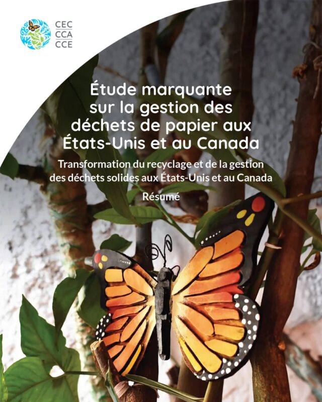 La CCE soutient les efforts visant à promouvoir des méthodes axées sur l’économie circulaire et la gestion durable des matières en #AmériqueDuNord 🤝
Grâce à trois études marquantes liées au projet intitulé « Transformation du recyclage et de la gestion des déchets solides en Amérique du Nord » et portant sur des sujets relatifs à la gestion des déchets de papier, de plastiques et de bioplastiques, la CCE s’efforce :
♻️ d’accroître les taux de réutilisation, de récupération et de recyclage des produits et des matières.
🌿 d’encourager l’écoconception et l’utilisation responsable des ressources.
🔄 de favoriser l’innovation en matière de gestion des déchets et sur les marchés secondaires.
Veuillez lire les trois études marquantes sur la gestion de ces déchets au Canada et aux États-Unis :
👉Pour en savoir plus suivez le lien dans notre bio!
Les études pour le Mexique seront bientôt disponibles !