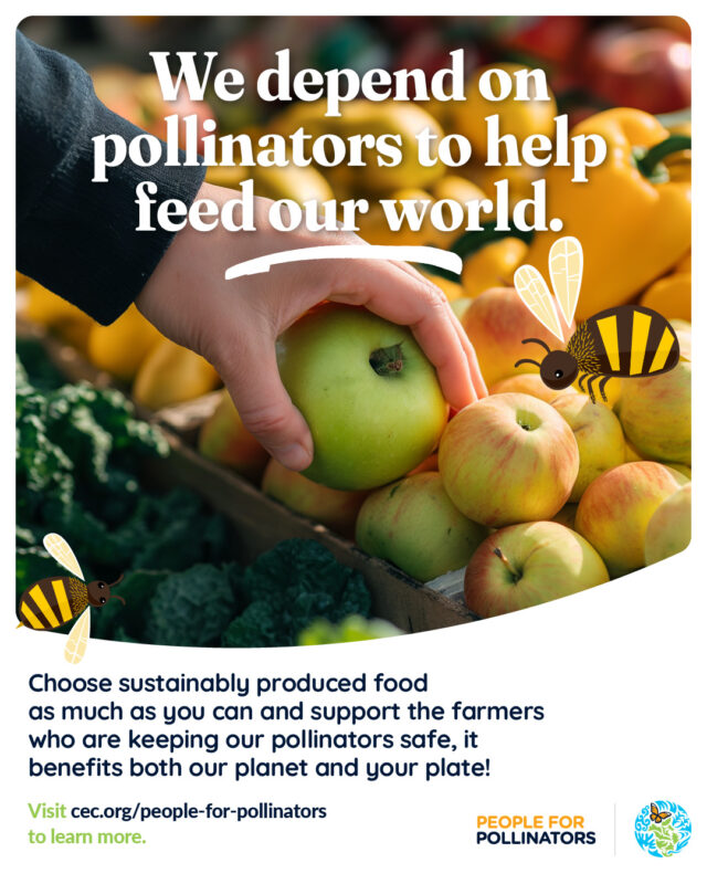 Many foods we enjoy – apples, almonds, avocados, tomatoes, coffee, and more – would never get to our plates without the help of pollinators. 🍅 ☕
By choosing to support #farmers who embrace pollinator-friendly practices like crop rotations, maintaining healthy #soil, and protecting native habitats, you can contribute to the creation of a safer environment for the pollinators that feed our world. 🚜🐝
Whether you're strolling through your farmer's market or browsing the aisles of a grocery store with pesticide-free options, every choice counts! 🛒
Learn all the simple & easy steps you can take to support our #pollinators today: 👉More info link in bio!
#PeopleForPollinators #SustainableAgriculture #SustainableFood
